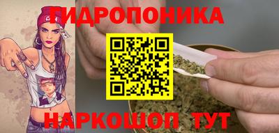2c-b Кингисепп