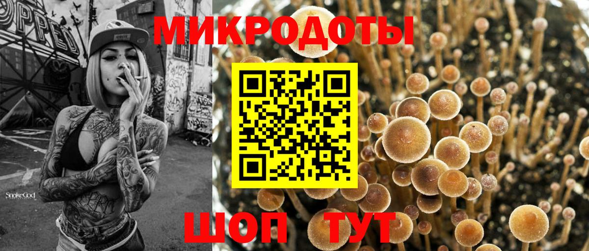 Псилоцибиновые грибы Psilocybe  Вход с VPN  хочу   Киров  Псилоцибиновые грибы прущие грибы 